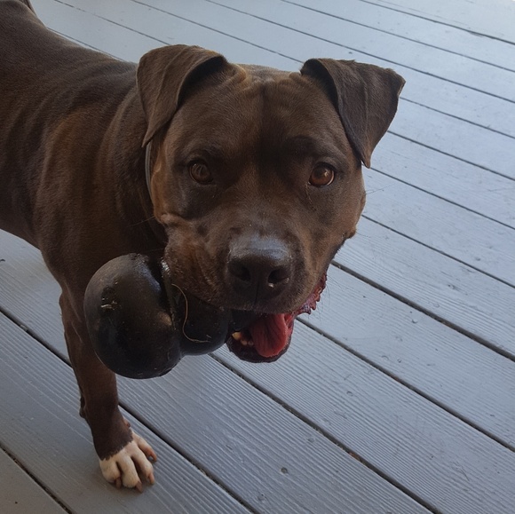 Meet your Posher! 🌻 - Picture 5 of 5